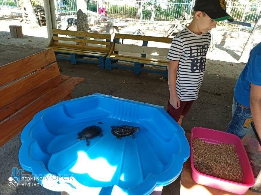 photo5393259312433966949