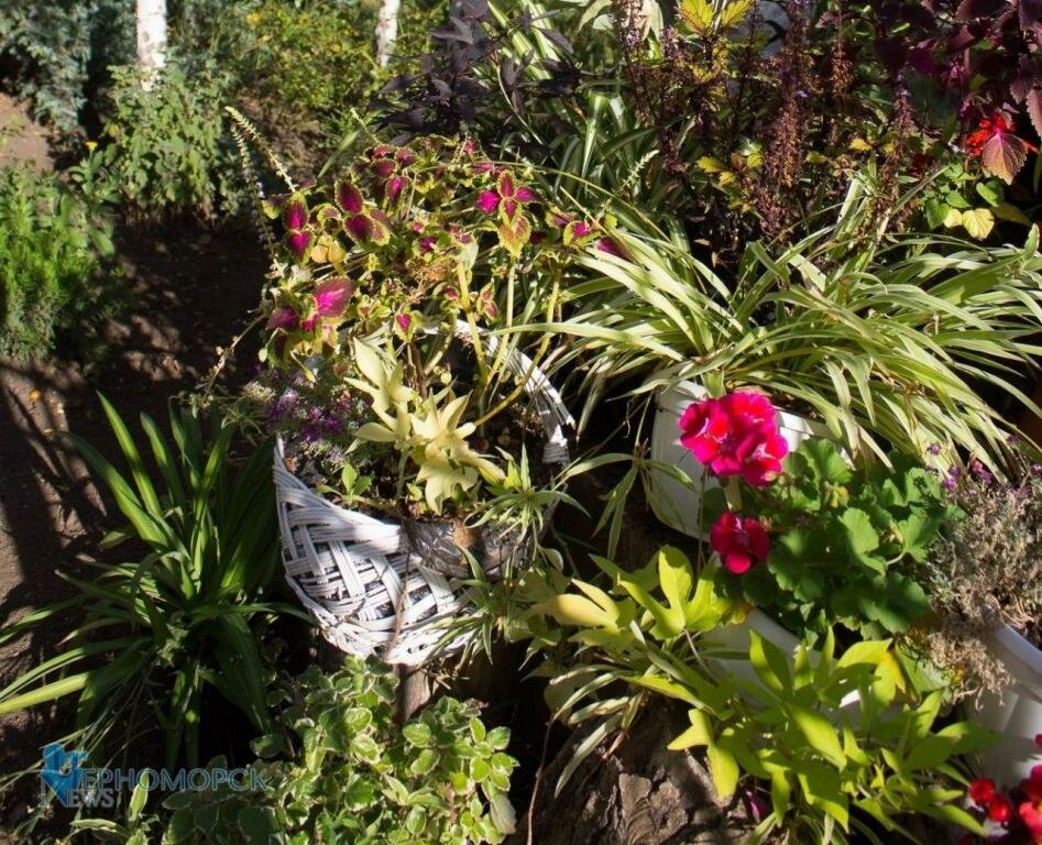 photo 2020 10 02 09 00 22