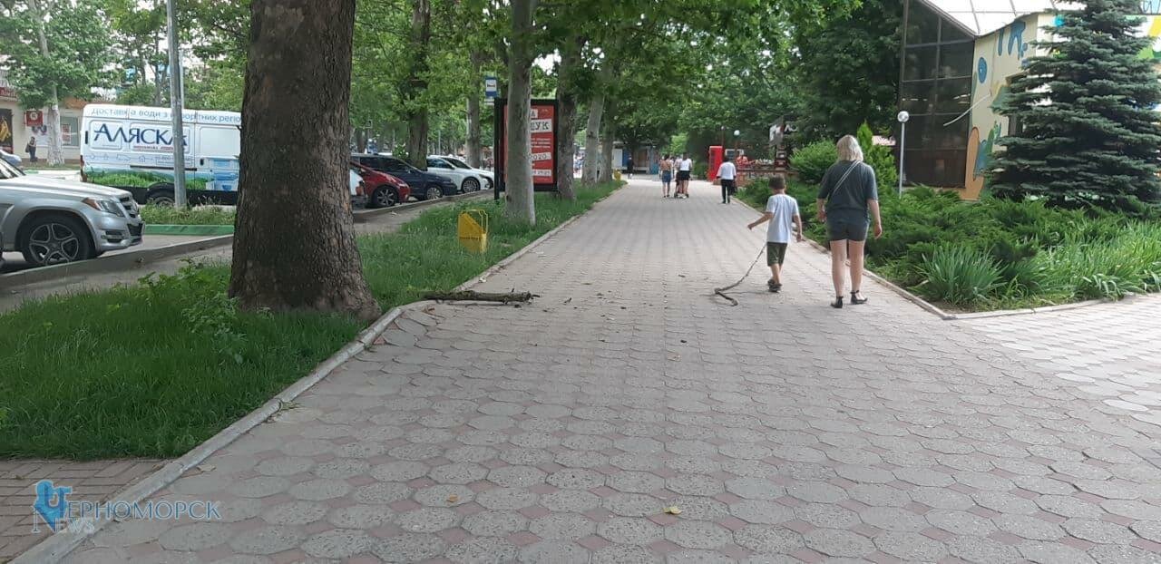 photo 2021 06 26 18 51 03