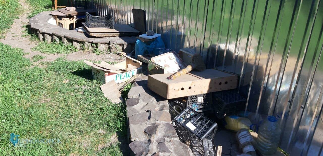 photo 2021 07 15 17 42 42