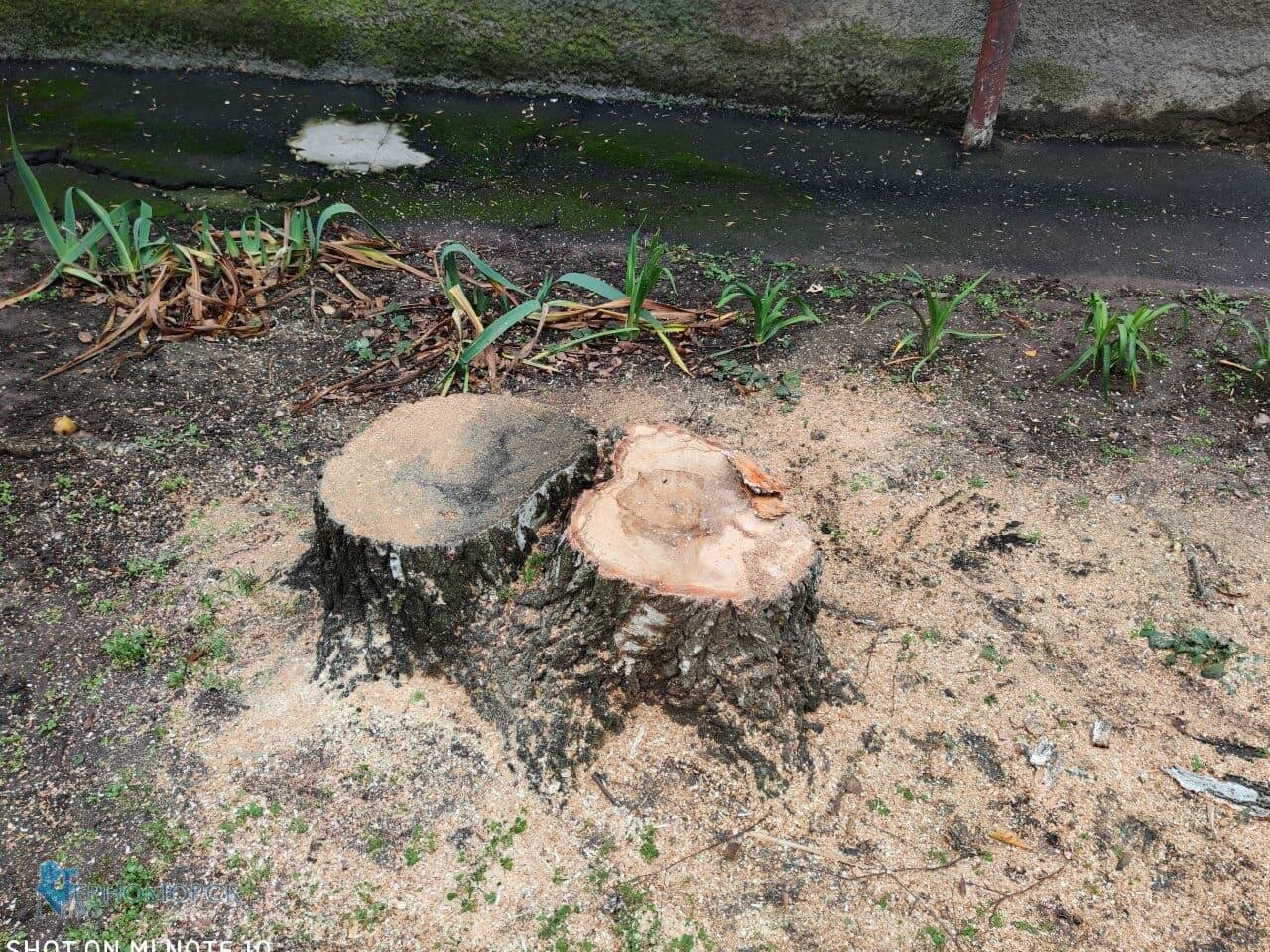 photo 2021 12 16 13 54 28