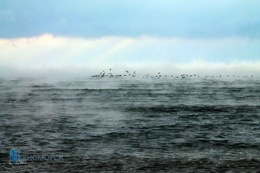 photo 2021 12 23 18 56 24 2